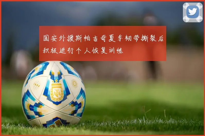 国安外援斯帕吉奇夏季韧带撕裂后积极进行个人恢复训练