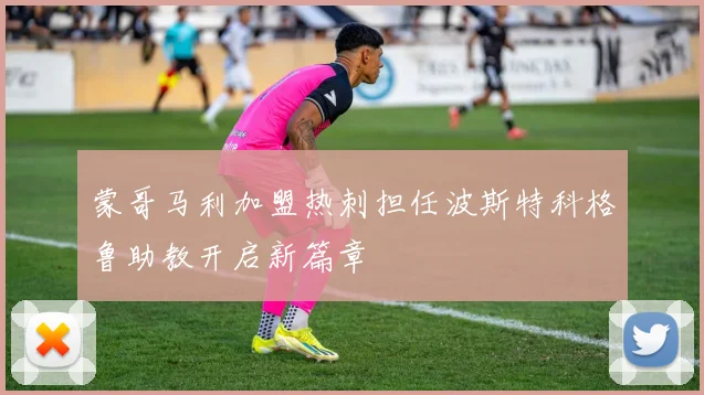 蒙哥马利加盟热刺担任波斯特科格鲁助教开启新篇章