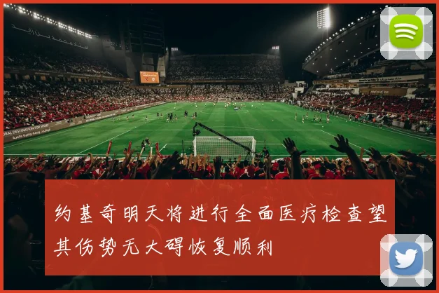 约基奇明天将进行全面医疗检查望其伤势无大碍恢复顺利