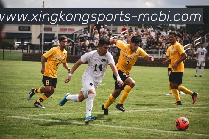 星空体育品牌故事