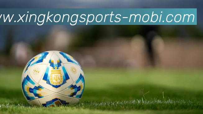 星空体育服务体系